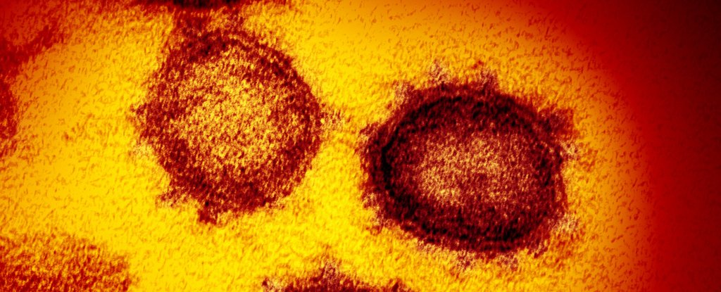 www.sciencealert.com